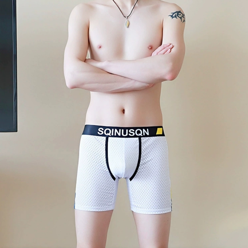 メンズアイスシルクメッシュボクサーブリーフ M-3XL 通気 - Long Leg Trunk Men のレビューと価格