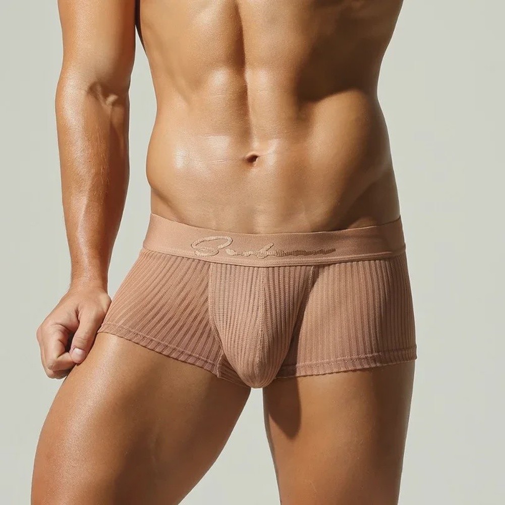 メンズ下着 シースルー ストライプ パンティー バルジポーチ - Pouch Boxer Pouch のレビューと価格